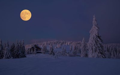 Working With February Full Moon…Two Days Later!