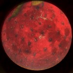 Strawberry Full Moon! (Sneak Peek into my new online Spellcraft class!)