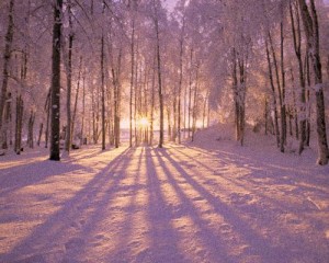 May the light of the returning sun warm the icy places within all of us.